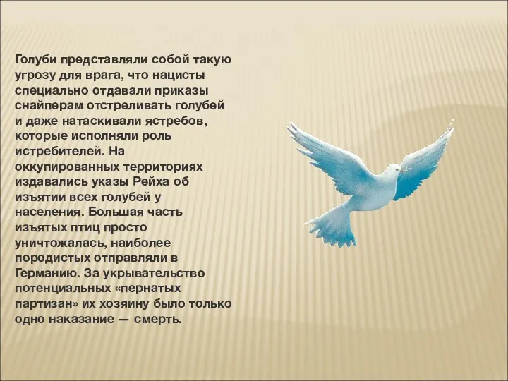 Голуби представляли собой такую угрозу для врага, что нацисты специально