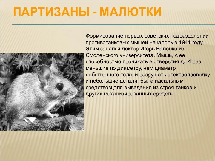 ПАРТИЗАНЫ - МАЛЮТКИ Фоpмиpование первых советских подразделений противотанковых мышей началось