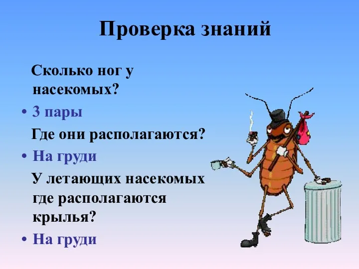 Сколько ног у насекомых? 3 пары Где они располагаются? На