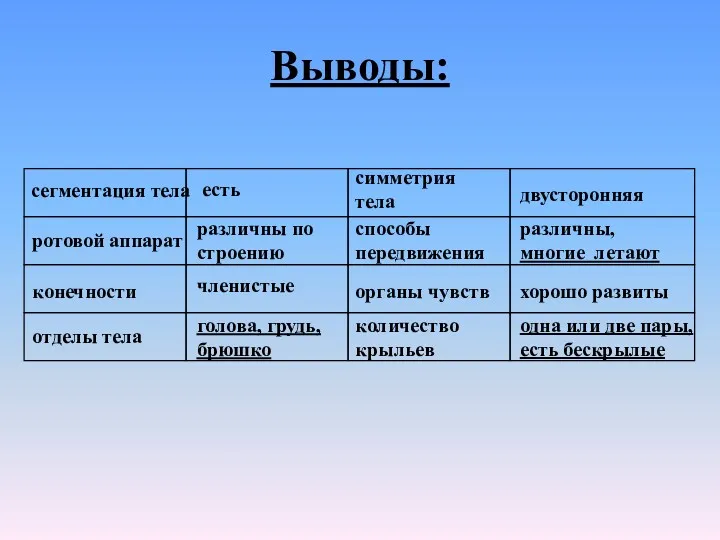 Выводы: сегментация тела ротовой аппарат конечности отделы тела симметрия тела