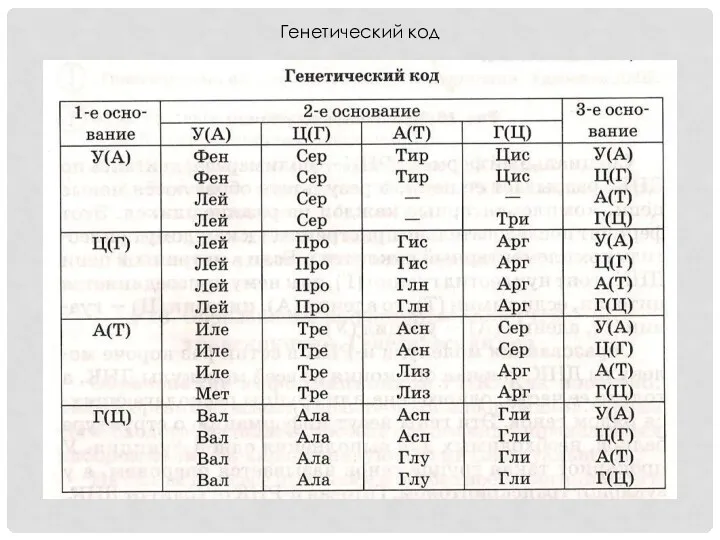 Генетический код