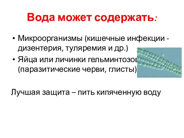 Вода может содержать: Микроорганизмы (кишечные инфекции -дизентерия, туляремия и др.)