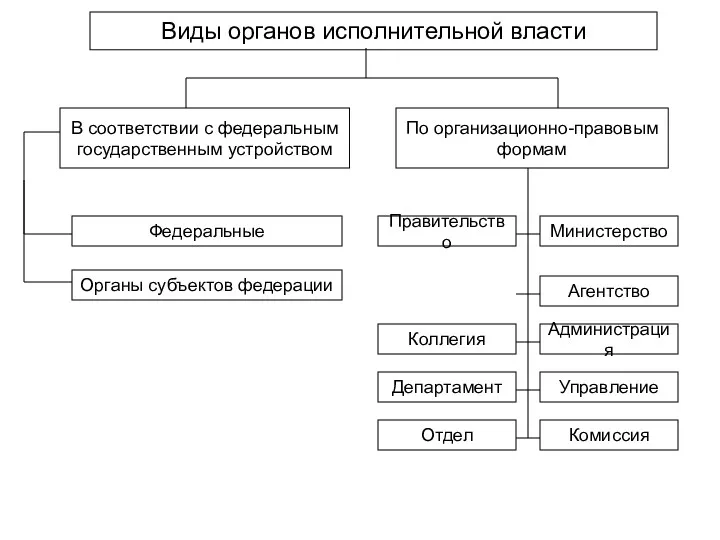 Виды органов исполнительной власти В соответствии с федеральным государственным устройством