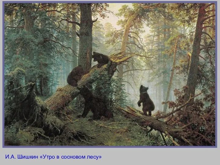 И.А. Шишкин «Утро в сосновом лесу»