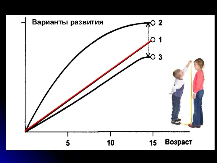 Варианты развития