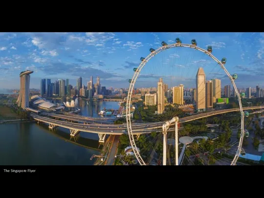 The Singapore Flyer