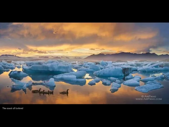 The coast of Iceland