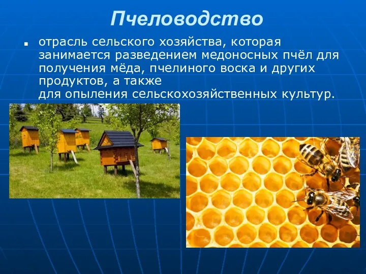 Пчеловодство отрасль сельского хозяйства, которая занимается разведением медоносных пчёл для