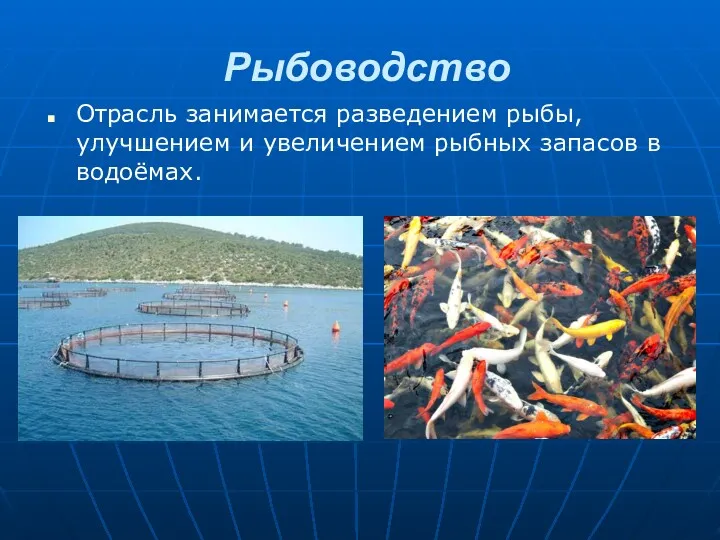 Рыбоводство Отрасль занимается разведением рыбы, улучшением и увеличением рыбных запасов в водоёмах.