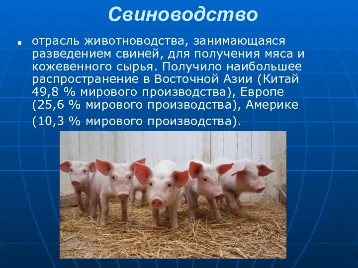 Свиноводство отрасль животноводства, занимающаяся разведением свиней, для получения мяса и