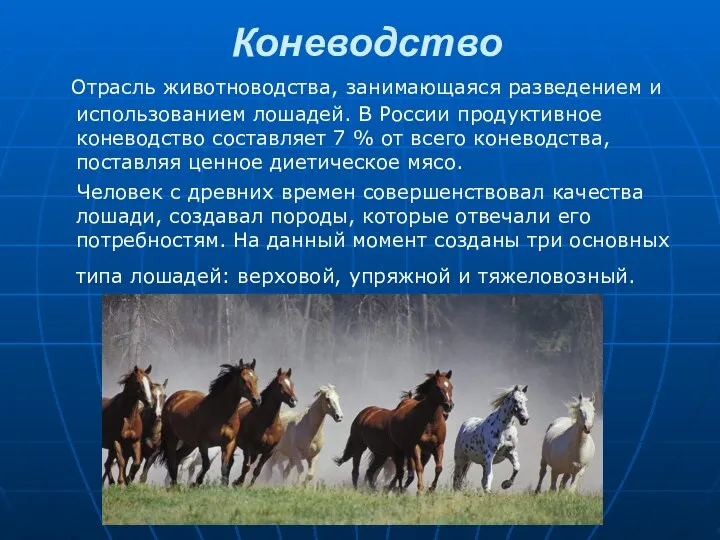 Коневодство Отрасль животноводства, занимающаяся разведением и использованием лошадей. В России