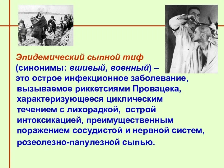 Эпидемический сыпной тиф (синонимы: вшивый, военный) – это острое инфекционное