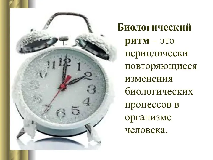 Биологический ритм – это периодически повторяющиеся изменения биологических процессов в организме человека.