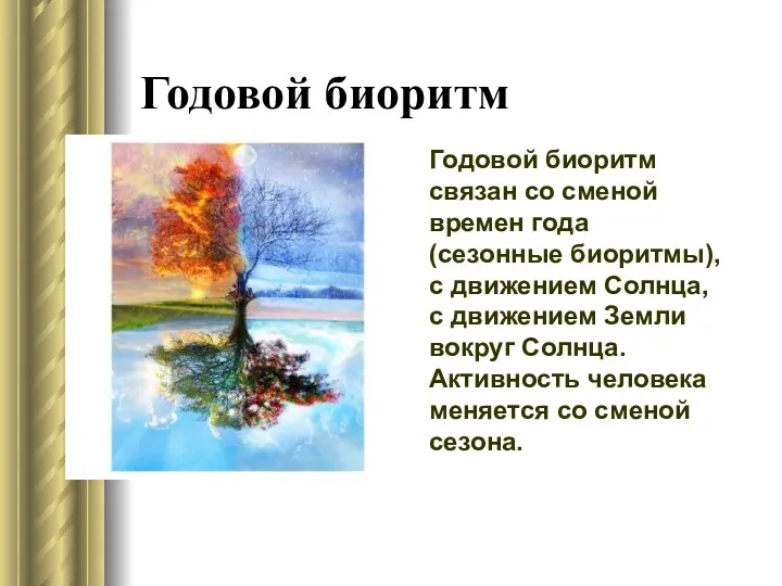 Годовой биоритм Годовой биоритм связан со сменой времен года (сезонные