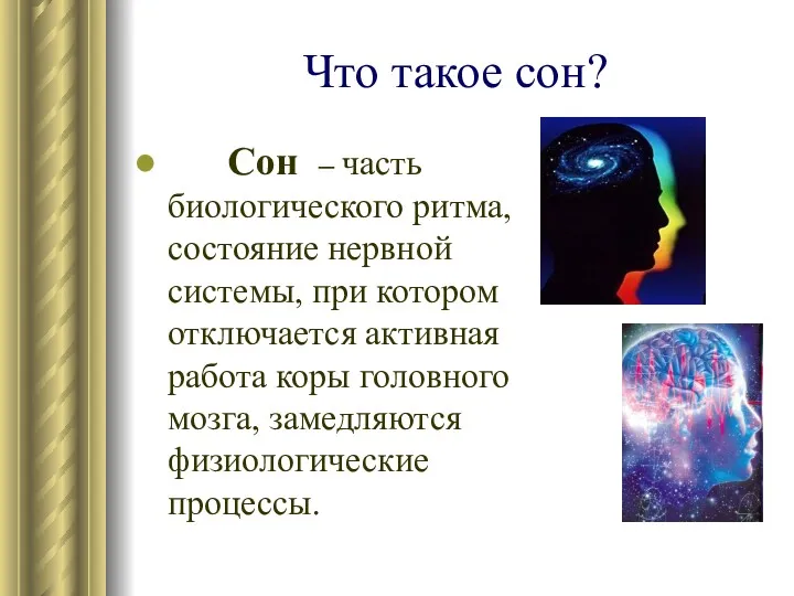 Что такое сон? Сон – часть биологического ритма, состояние нервной