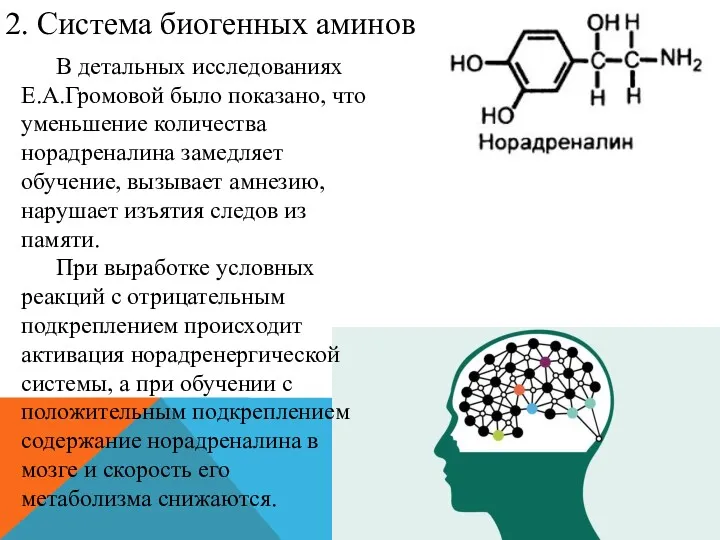 В детальных исследованиях Е.А.Громовой было показано, что уменьшение количества норадреналина