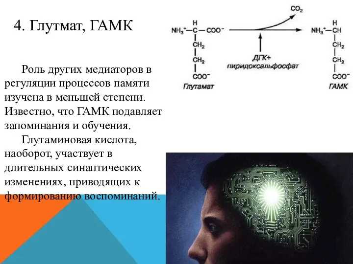 Роль других медиаторов в регуляции процессов памяти изучена в меньшей