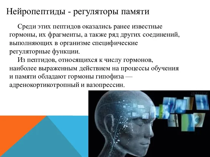 Нейропептиды - регуляторы памяти Среди этих пептидов оказались ранее известные