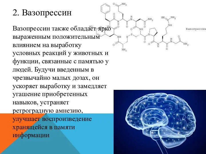 Вазопрессин также обладает ярко выраженным положительным влиянием на выработку условных