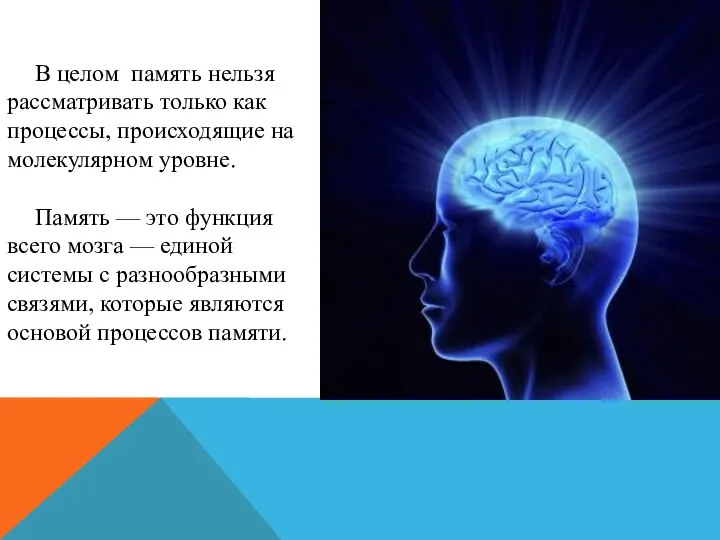 В целом память нельзя рассматривать только как процессы, происходящие на