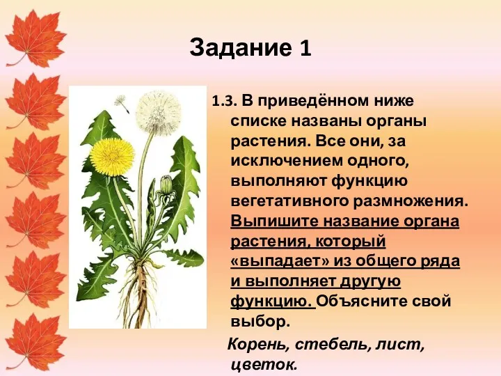 Задание 1 1.3. В приведённом ниже списке названы органы растения.