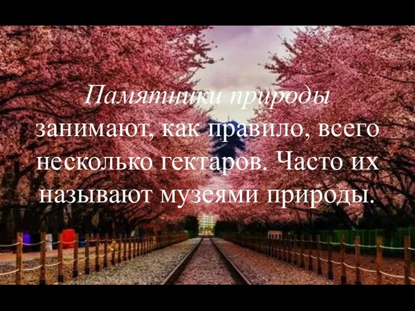 Памятники природы занимают, как правило, всего несколько гектаров. Часто их называют музеями природы.