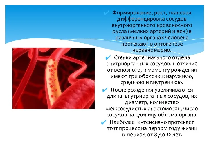 Формирование, рост, тканевая дифференцировка сосудов внутриорганного кровеносного русла (мелких артерий