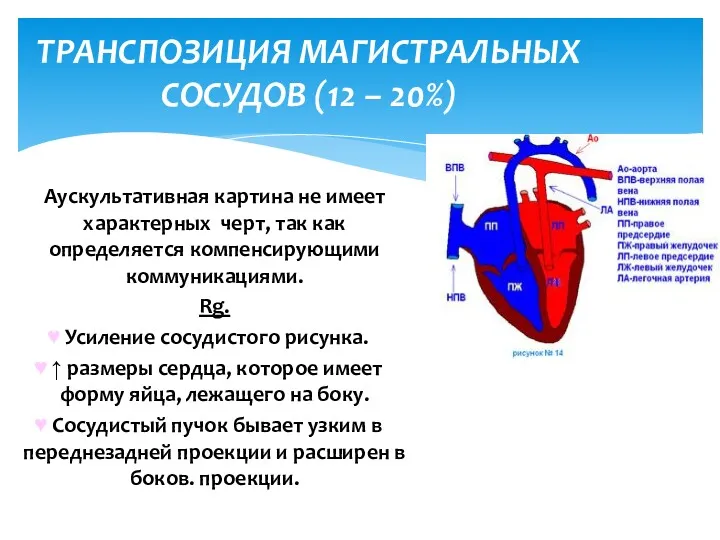 Аускультативная картина не имеет характерных черт, так как определяется компенсирующими