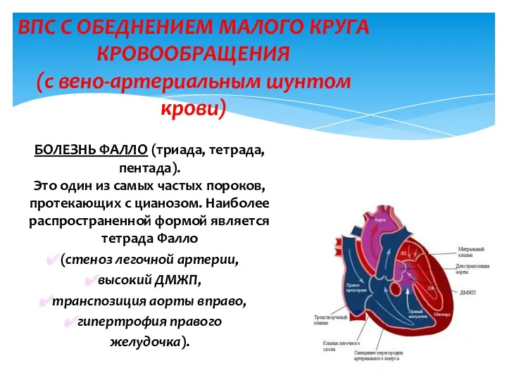 БОЛЕЗНЬ ФАЛЛО (триада, тетрада, пентада). Это один из самых частых