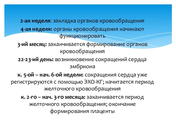 2-ая неделя: закладка органов кровообращения 4-ая неделя: органы кровообращения начинают