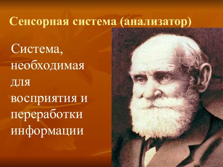 Сенсорная система (анализатор) Система, необходимая для восприятия и переработки информации