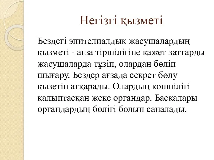 Негізгі қызметі Бездегі эпителиалдық жасушалардың қызметі - ағза тіршілігіне қажет