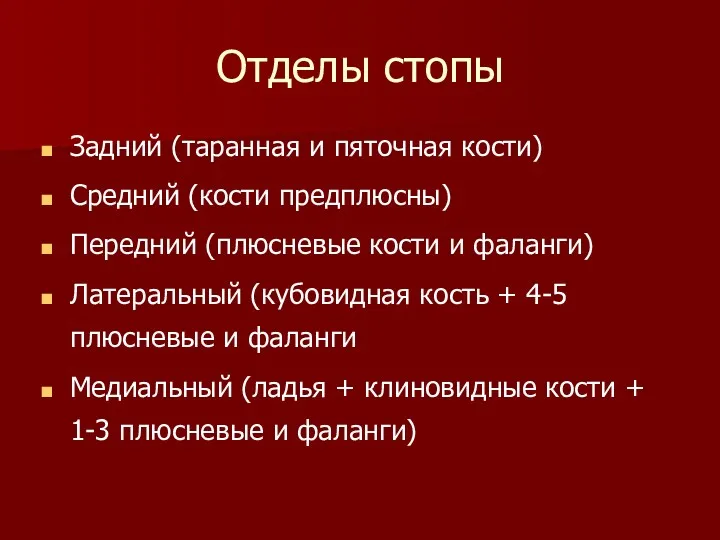 Отделы стопы Задний (таранная и пяточная кости) Средний (кости предплюсны)