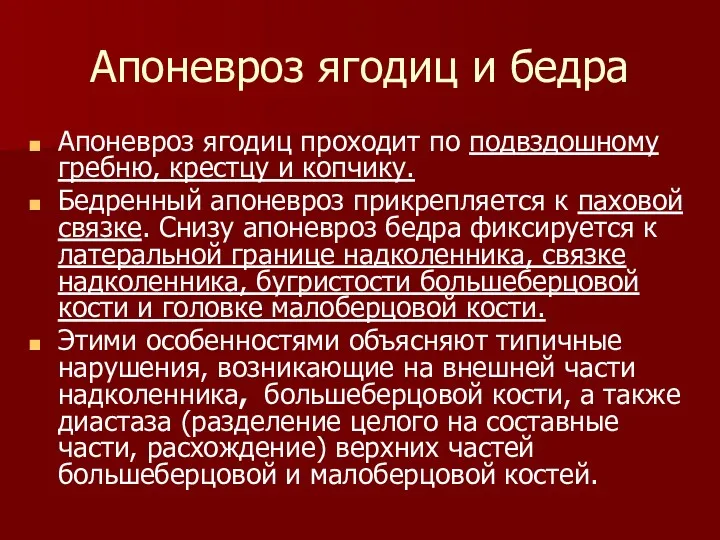 Апоневроз ягодиц и бедра Апоневроз ягодиц проходит по подвздошному гребню,