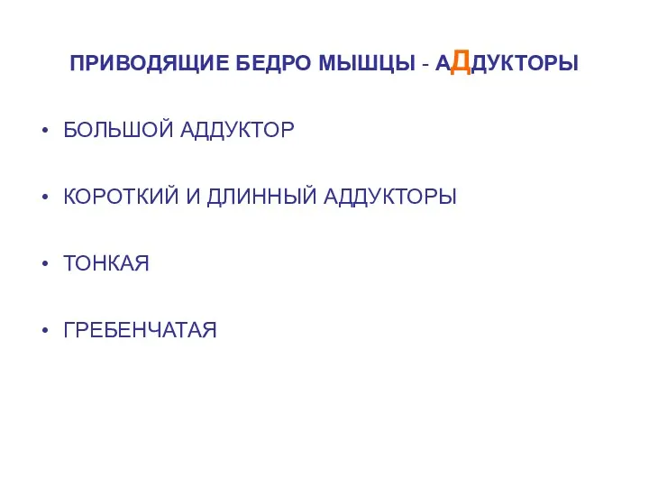 ПРИВОДЯЩИЕ БЕДРО МЫШЦЫ - АДДУКТОРЫ БОЛЬШОЙ АДДУКТОР КОРОТКИЙ И ДЛИННЫЙ АДДУКТОРЫ ТОНКАЯ ГРЕБЕНЧАТАЯ