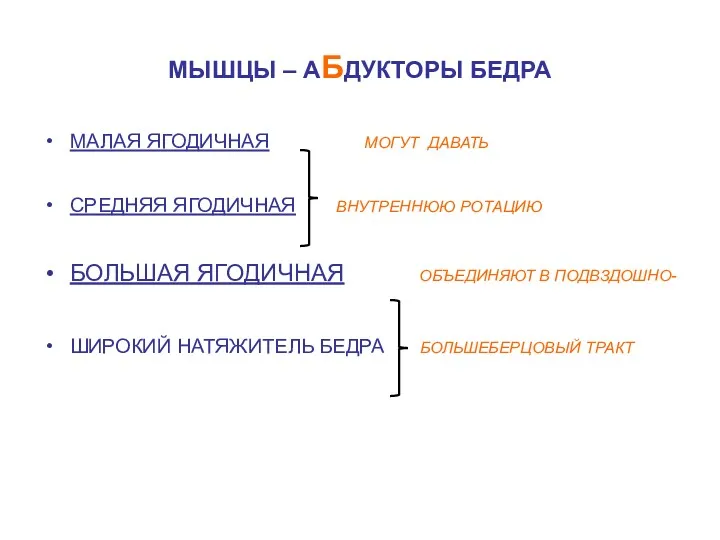 МЫШЦЫ – АБДУКТОРЫ БЕДРА МАЛАЯ ЯГОДИЧНАЯ МОГУТ ДАВАТЬ СРЕДНЯЯ ЯГОДИЧНАЯ