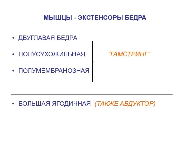 МЫШЦЫ - ЭКСТЕНСОРЫ БЕДРА ДВУГЛАВАЯ БЕДРА ПОЛУСУХОЖИЛЬНАЯ “ГАМСТРИНГ” ПОЛУМЕМБРАНОЗНАЯ БОЛЬШАЯ ЯГОДИЧНАЯ (ТАКЖЕ АБДУКТОР)