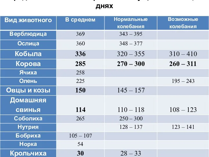 Продолжительность беременности у с/х животных, в днях Продолжительность беременности у с/х животных, в днях