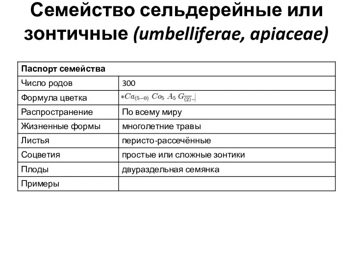 Семейство сельдерейные или зонтичные (umbelliferae, apiaceae)