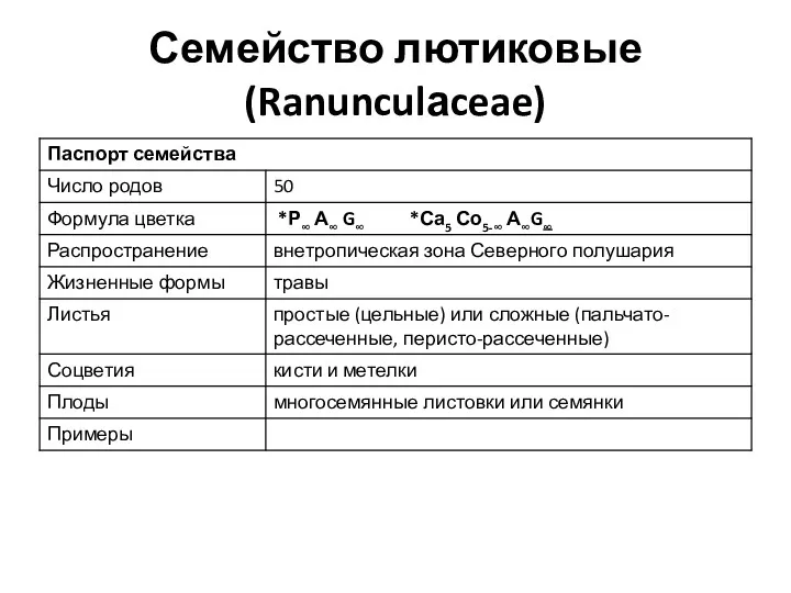 Семейство лютиковые (Ranunculаceae)