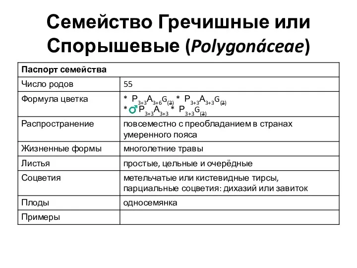 Семейство Гречишные или Спорышевые (Polygonáceae)