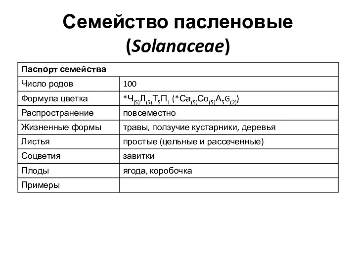 Семейство пасленовые (Solanaceae)