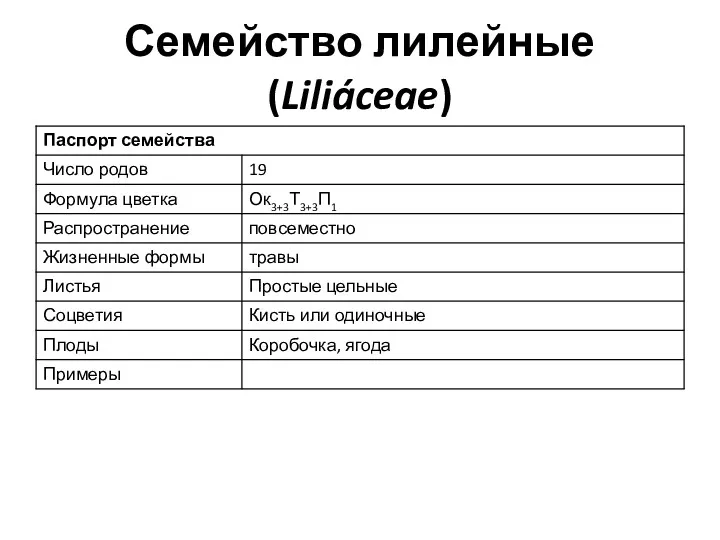 Семейство лилейные (Liliáceae)