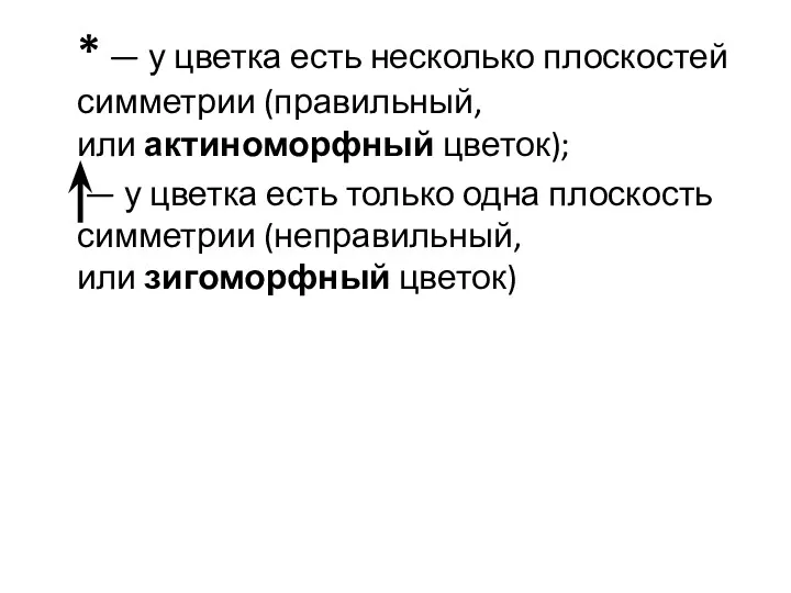 * — у цветка есть несколько плоскостей симметрии (правильный, или