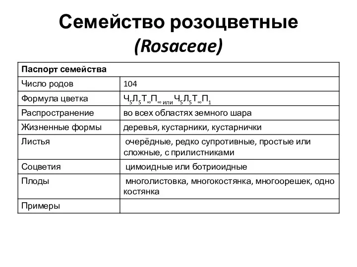 Семейство розоцветные (Rosaceae)