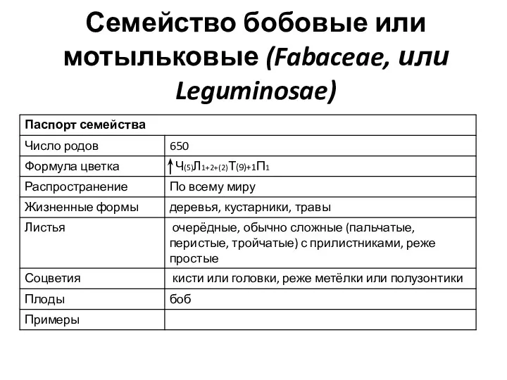 Семейство бобовые или мотыльковые (Fabaceae, или Leguminosae)