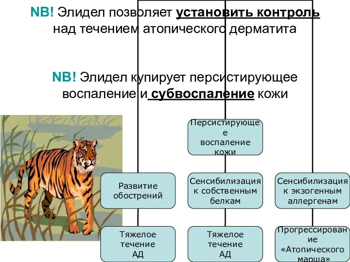 NB! Элидел позволяет установить контроль над течением атопического дерматита NB!