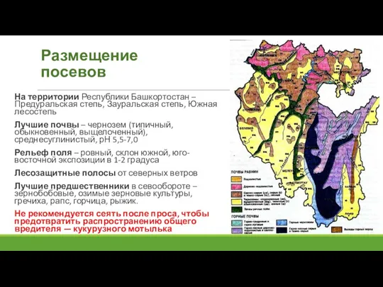 Размещение посевов На территории Республики Башкортостан – Предуральская степь, Зауральская