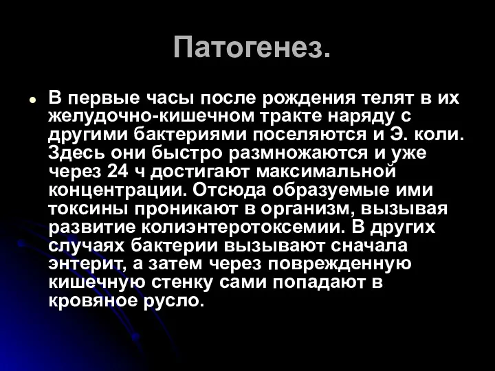 Патогенез. В первые часы после рождения телят в их желудочно-кишечном