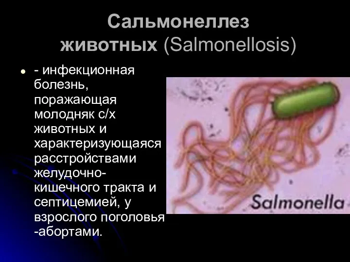 Сальмонеллез животных (Salmonellosis) - инфекционная болезнь, поражающая молодняк с/х животных